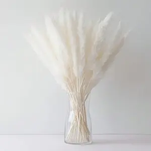 45/90pcs White Pampas Grass Bouquet – Premium Dried Flowers for Home Decor, Wedding, Bridal Bouquets, Party Decorations, Event Styling, Centerpieces, DIY Crafts, Rustic & Chic Floral Arrangements outdoorfun
