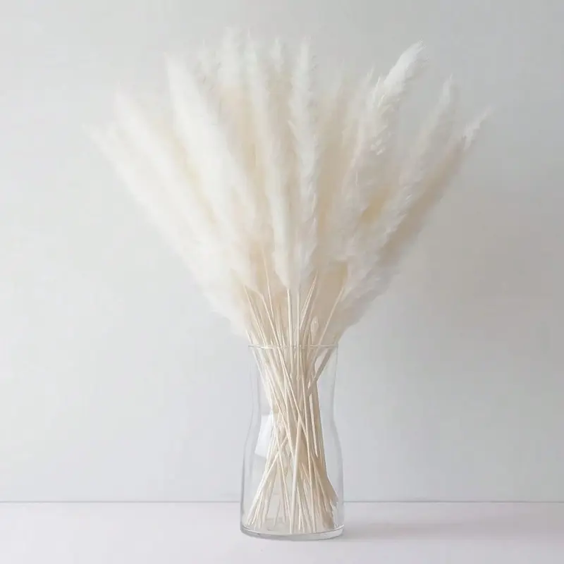 45/90pcs White Pampas Grass Bouquet – Premium Dried Flowers for Home Decor, Wedding, Bridal Bouquets, Party Decorations, Event Styling, Centerpieces, DIY Crafts, Rustic & Chic Floral Arrangements, Decorative Flowers, Floral Decor