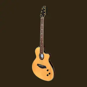 Aslin Dane Icosa 6 String thin line electric-acoustic guitar - Natrual in High Gloss