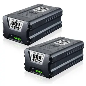 2 Pack 80V 5.0Ah GBA80200 Replacement for Greenworks 80V Battery GBA80250 GBA80500 GBA80400 Compatible with Greenworks 80V Max Series Cordless Power Tools