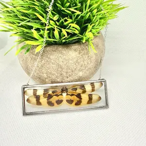 Real Dragonfly Charm Necklace - Handmade Jewelry with Unique Design, Perfect for Gifts