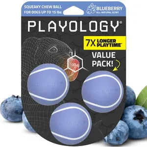 Playology Blueberry Scented Squeaky Chew Ball Dog Toy, Small 3-Pack