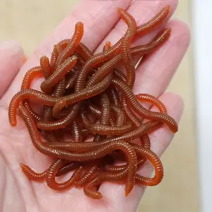 30pcs Realistic Artificial Imitation Fake Earthworms - Soft Elastic Rubber Worms with Brown & Red Stripes, Perfect for Halloween Pranks, Party Games