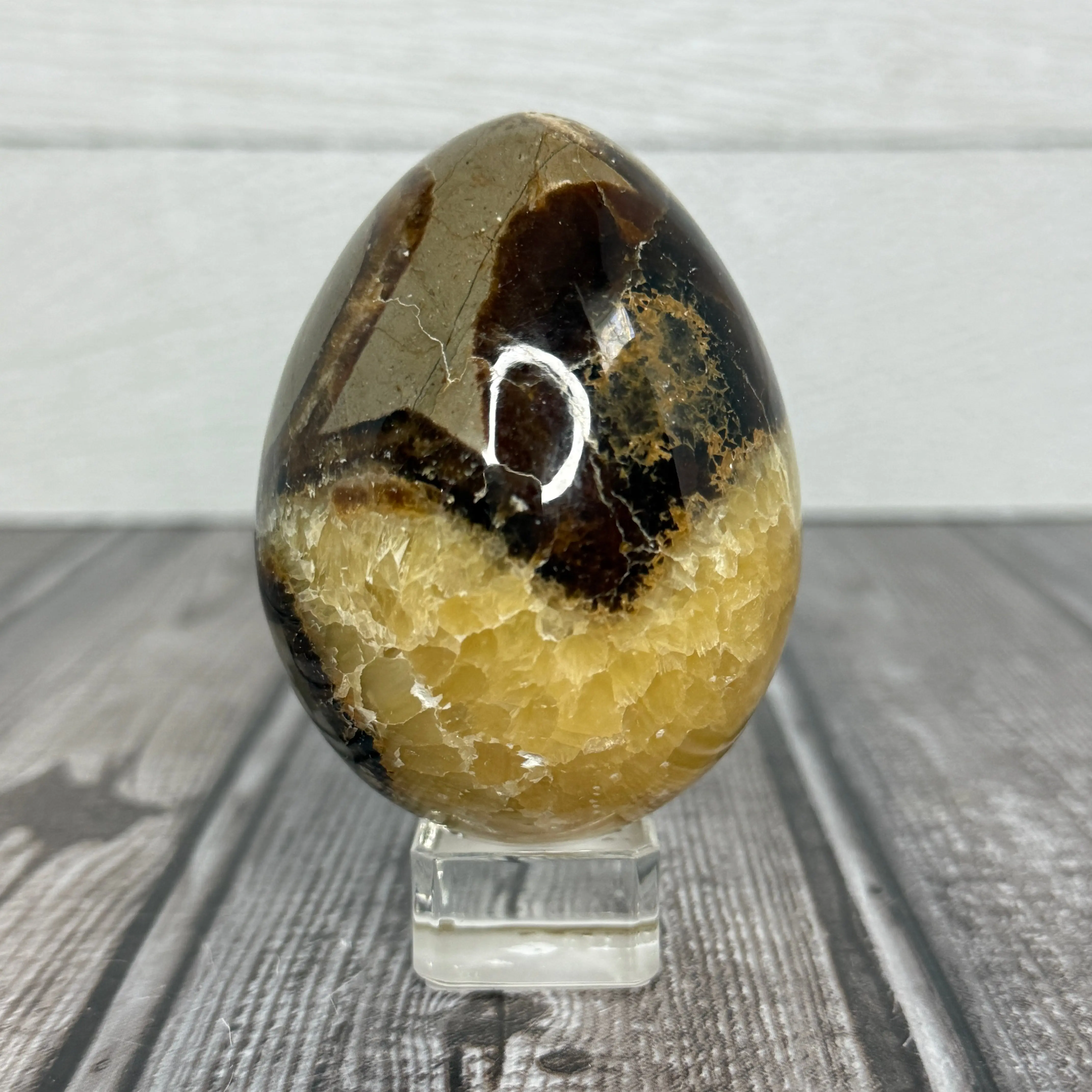 Septarian Egg