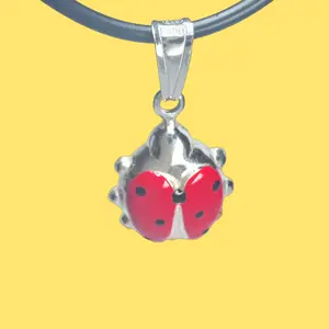Big & Bright Ladybug Charm Necklace