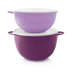 Tupperware Thatsa Bowl Thatsa & Mega Bowl Set
