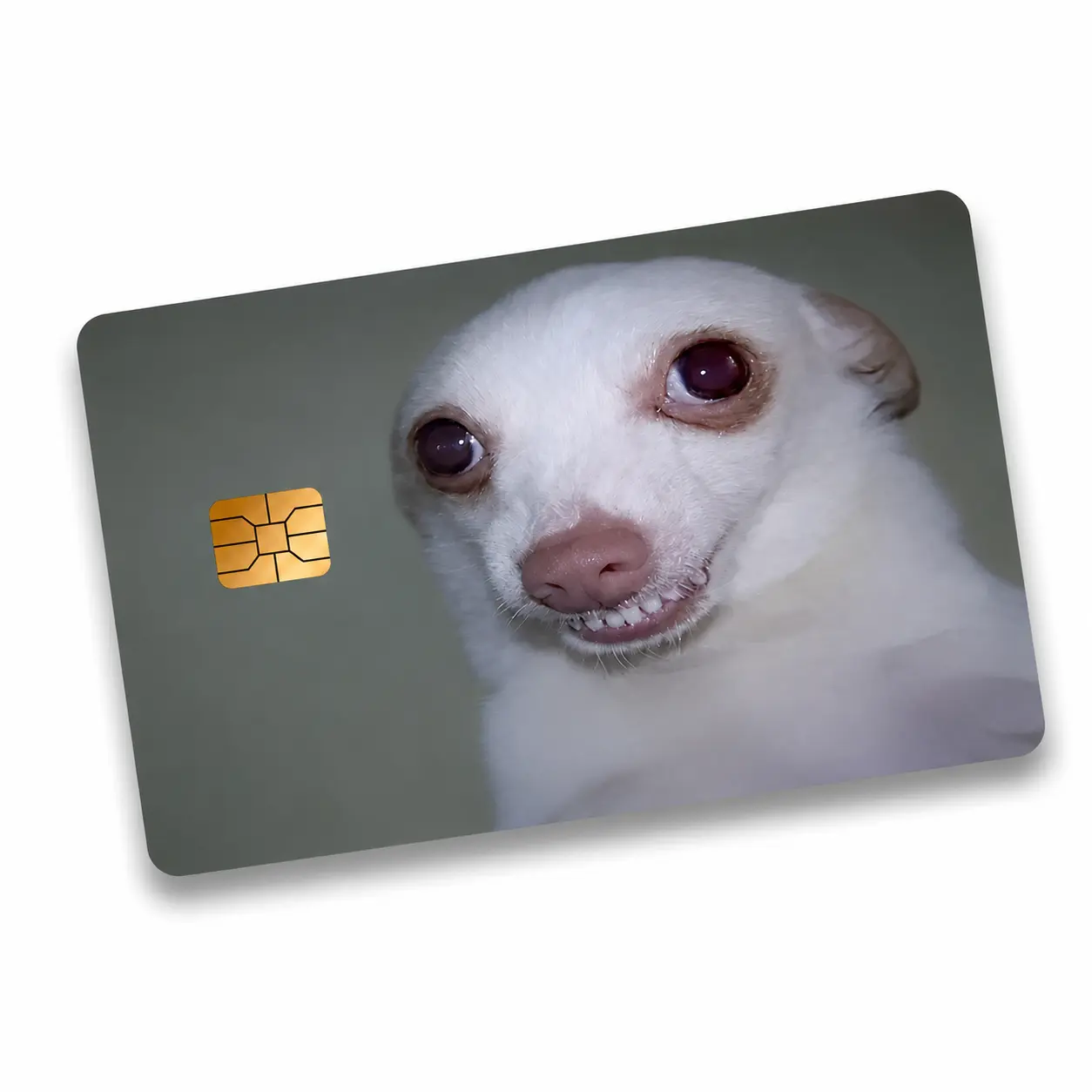 (2pcs per pack) Funny Dog Card Skin Sticker, Cute Chihuahua Meme Card Skin Wrap, Novelty Puppy Vinyl Card Cover, Animal Lover Wallet Accessory Gift