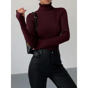 Minimalist Turtleneck Slim Knit Top