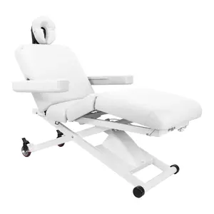 SKINACT Cleo Electric Spa Treatment Table Facial Massage Bed Reclining Salon Chair Hydraulic Styling Chair with ADA Compliance
