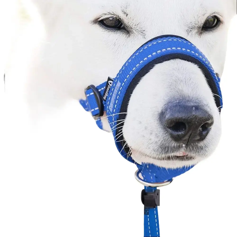 Breathable Mesh Dog Hands-Free Leash with Chew-Resistant Anti-Bite Muzzle, Pet Walking Lead for Dogs