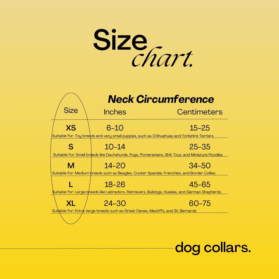 “The Annie Oakley” Custom Dog Collar