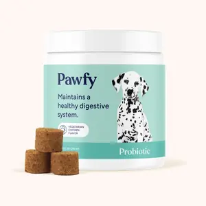 Probiotic (Turkey & Bacon) - Daily Probiotic Chews for Well-being and Digestive Health