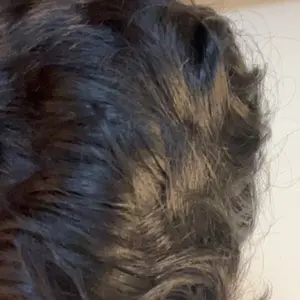 review image 7