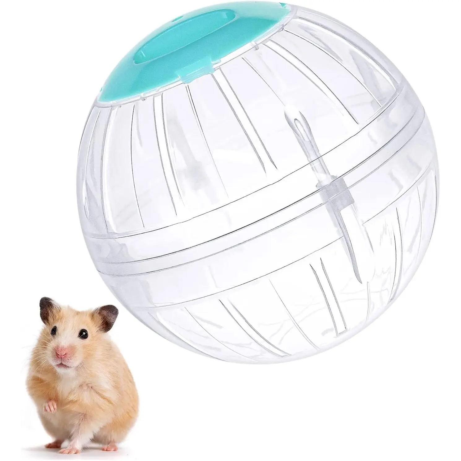 5.7 Inch Transparent Hamster Exercise Ball - Running Accessory for Dwarf Hamsters to Reduce Boredom and Boost Activity