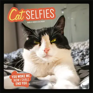 Cat Selfies | 2026 12 x 24 Inch (Hanging) Monthly Square Wall Calendar | Plastic-Free | BrownTrout | Pet Humor Kitten Feline