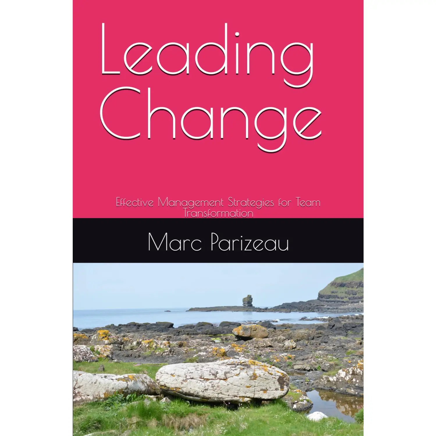Leading Change: Effective Management Strategies for Team Transformation