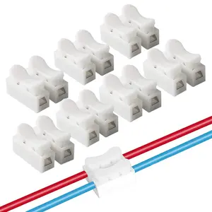 Quick Push-In Cable Connector, 50 pieces 10A 220V 2-Pin Spring Electrical Connectors with Insert for Lighting and Automotive Wiring