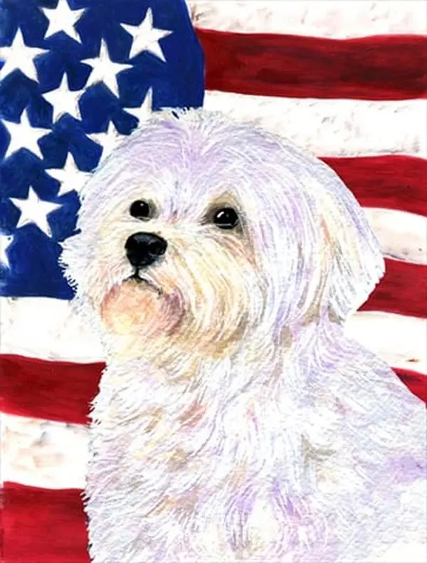 11 x 15 in. USA American Flag with Maltese Garden Size Flag