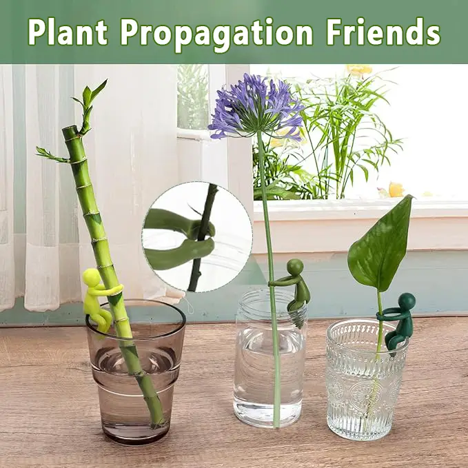 【FaddishDeal】3/6PCS Plant propagation friend;Leaf supports for sprouting and cutting, lovely decorations, gifts for indoor garden plant lovers, etc
