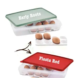 Tupperware Snack-Stor Large Container with 3 Egg Inserts for Fresh Sandwiches & Eggs Dishwasher Safe Rectangular Food Storage