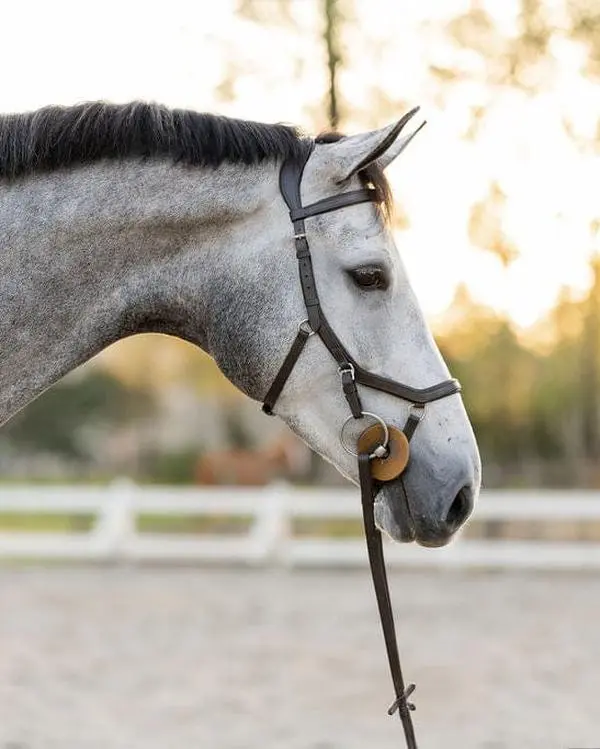 F.R.E Micklem Style Ergonomic Bridle | Brown