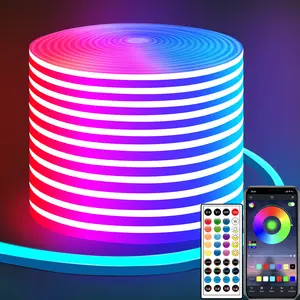 ARTBLEPRO LED neon Lights with Remote APP Control IP65 Waterproof Flexible Neon Strip Lights 24V RGB Rope Lights for Bedroom Room Outdoors Christmas Daily Décor
