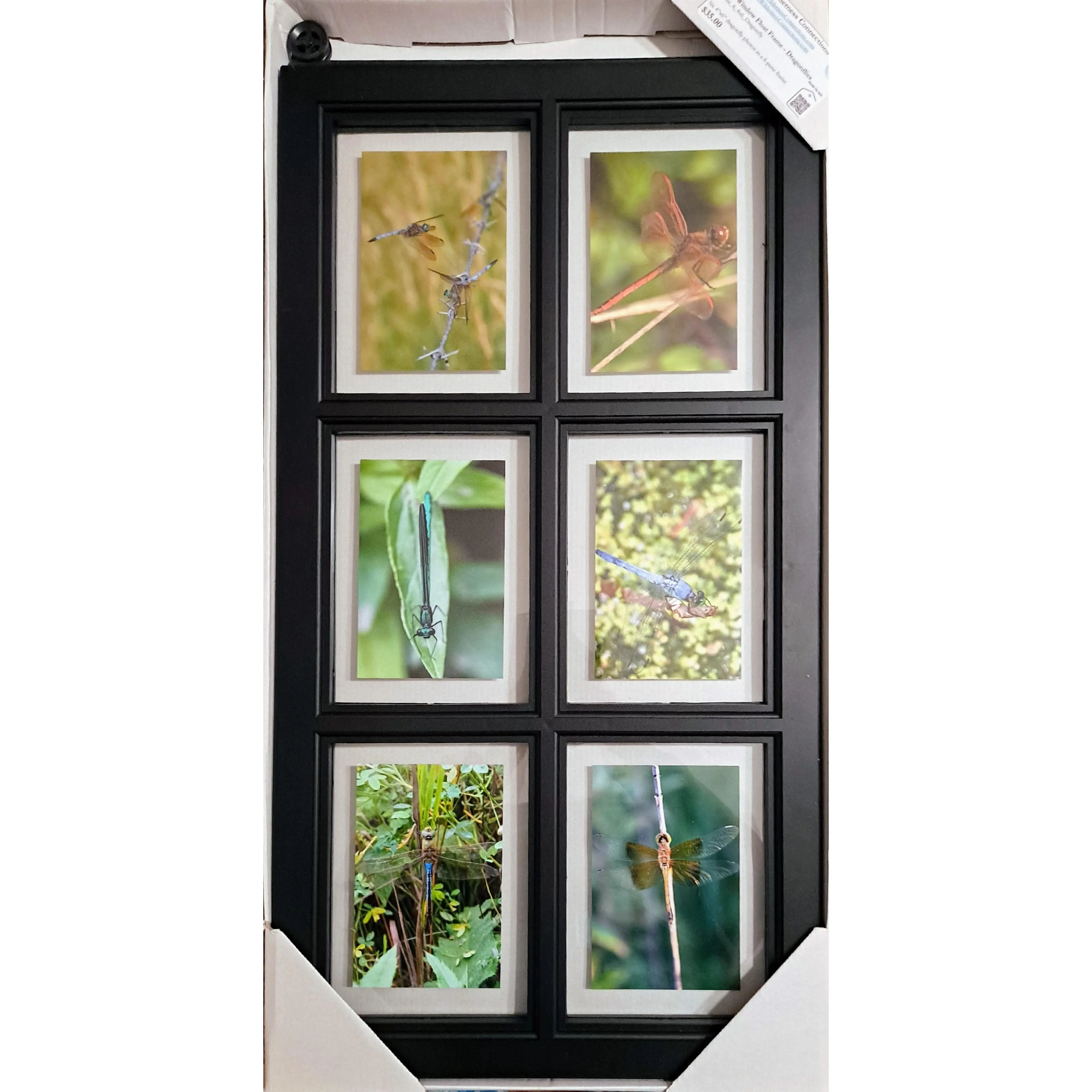 Barn Window Float Frame - Dragonflies