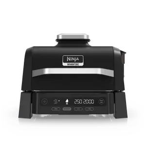 Ninja Woodfire Outdoor Grill & Smoker - OG301