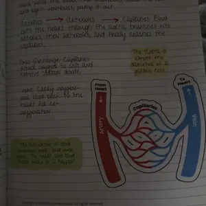 review image 6