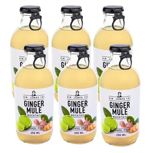 Sir. James 101 Alcohol-Free Ginger Mule | 6-pack