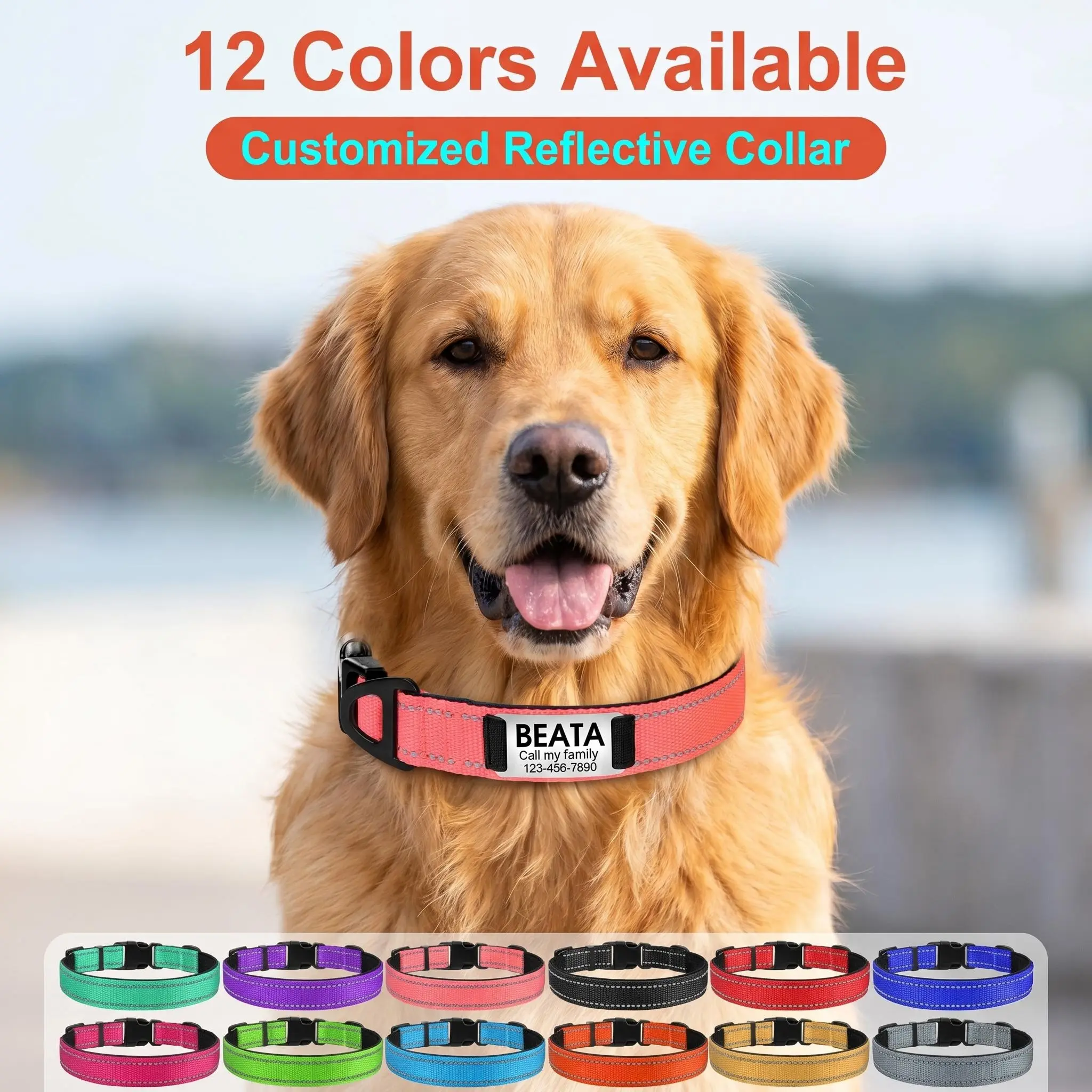 Customized Name Engraved Reflective Dog Collar - 360-Degree Transparent Reflective Nylon Webbing, Breathable Nylon, Soft Neoprene Padding, Adjustable Multi-Size, Metal D-Ring, for Small Medium Large Dogs, Casual, Backyard, Personalized, Adjustable Collars