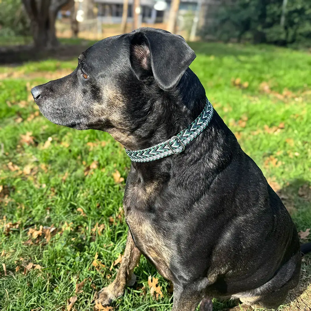 Woven Dog Collar