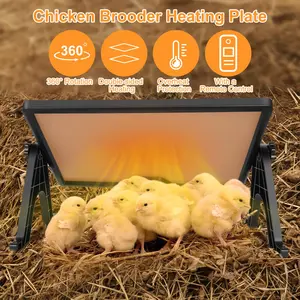 Adjustable Height Chick Brooder Heating Plate Upgraded Chicken Brooder Heating Plate With Adjustable Height & Angle, Thermostatic Control Chick Warmer Pad For Ducklings, Quail, And Birds