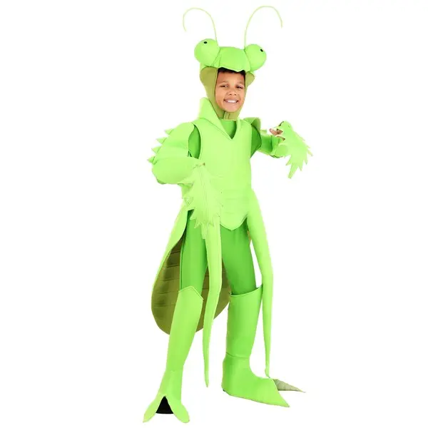 Praying Mantis Kid's Costume