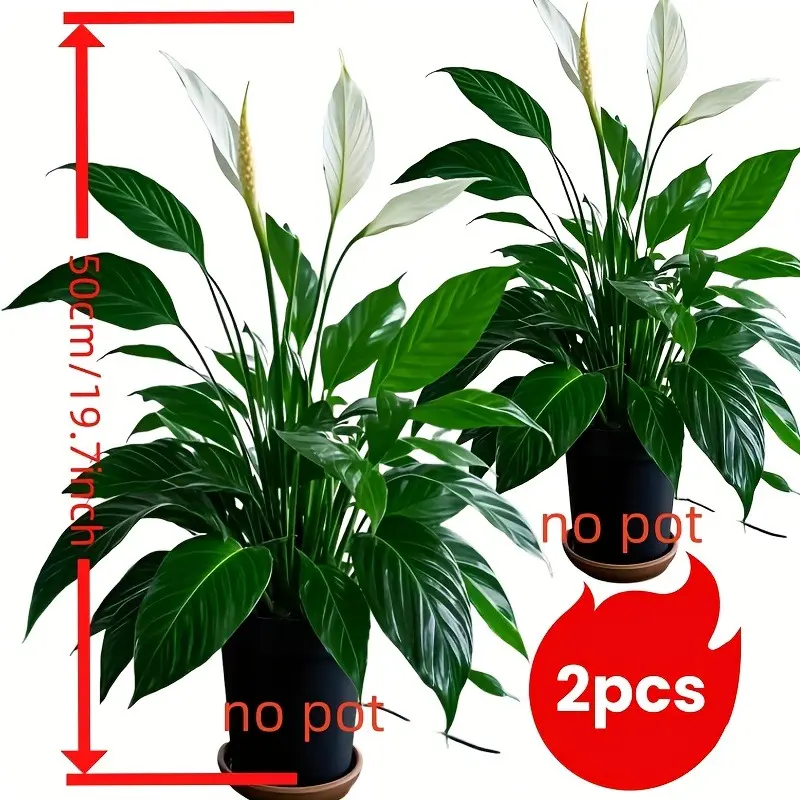 2 Sets Large Outdoor Artificial Greenery, Rainproof Design, Tropical Fake Flowers & Grass, Decorative Fake Plants, Fake Plant Decoration, Faux Greenery Plants, Ideal for Photography, Home Decor, Garden, Wedding, Hotel, Office, Artificial Plants