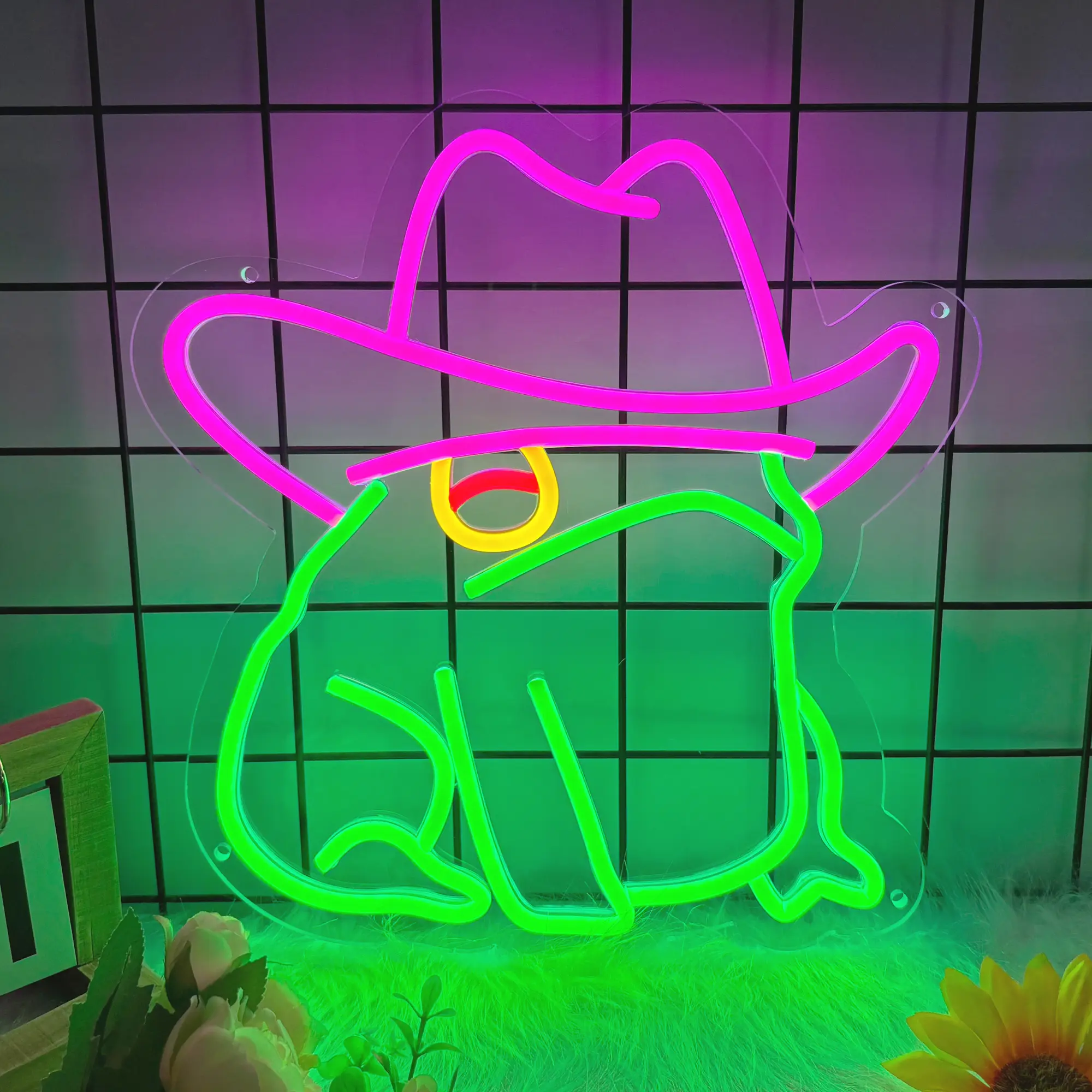 1Pcs Decorative Green Frog Neon Light Sign - Customizable Dimmable Color-Changing Novelty Lighting, USB Powered, 10-Level Brightness, Atmosphere Lighting, High Stability, Home Wall Decor Gift