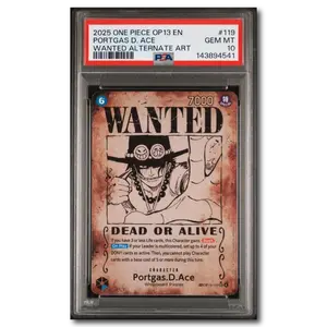 PSA 10 Portgas D Ace OP13 WANTED #119