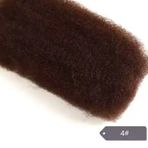 Human Hair Kinky Bulk - 27# for Braids, Locs, Two Stand Starter Locs, and Twist Color #1B #1 #2 #4 #6 #30 #27 #99J 50 grams per pack need 2-3 for a full head for loc repair 1 pack for micro locs 2 packs boho crochet