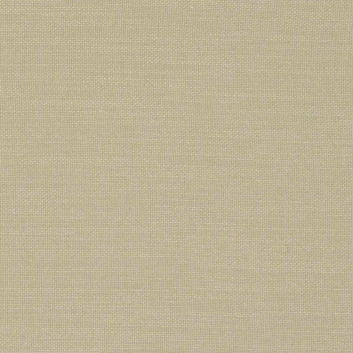 Nantucket - Sesame  By Clarke And Clarke | Clarke & Clarke Nantucket |Solid Texture Multipurpose Cotton