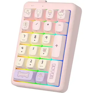 NumberPad,21Keys HotSwappable Numpad,Bluetooth5.0/2.4G/Type-C  Numeric Keypad,Rechargeable Number keypad,RGB Gasket Structure Mechanical Keyboard with PBT Keycap for PC Laptop Notebook