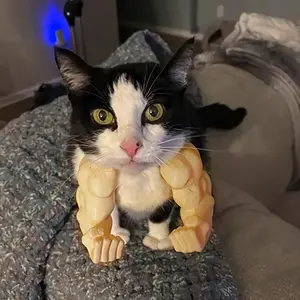 1pc 3D Printed Cat Muscle Halloween Costume Accessory Outfits - Adjustable Lightweight Pet Apparel with Realistic 3D Printed Muscles, Perfect for Cosplay, Halloween Parties & Themed Events, Vibrant Design, Ideal for Halloween Enthusiasts