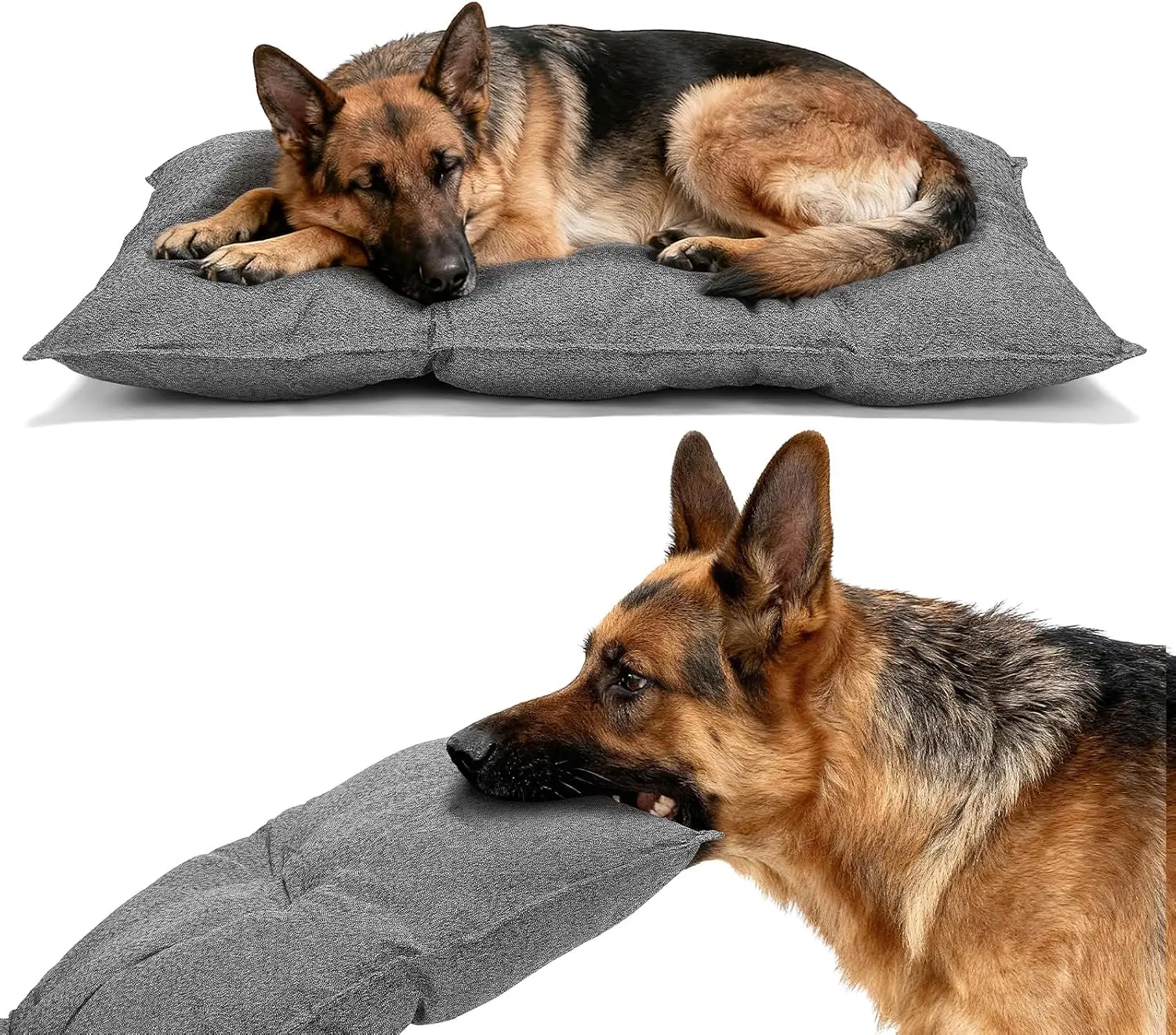 #SummerVibes #petlovers Veehoo Indestructible Dog Bed for Crate Chew Proof Pad with Reinforced Corners Large Washable Pet Mat for Kennel Comfortable & Durable High-Loft Padding Support