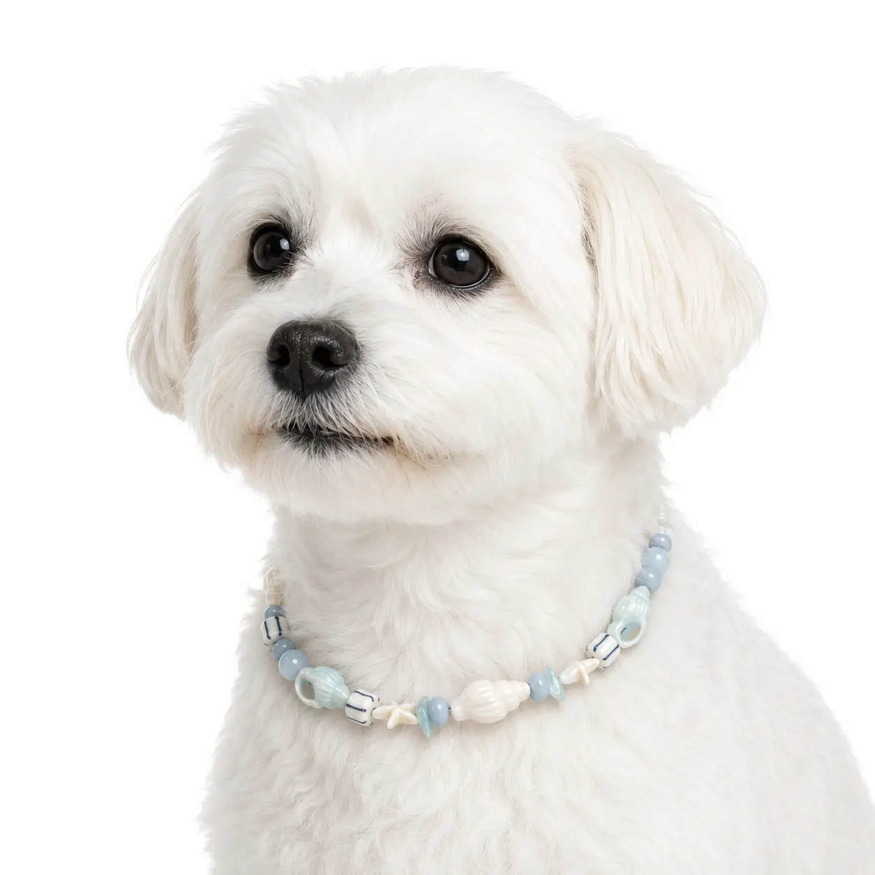 Daydream - Necklace for pet