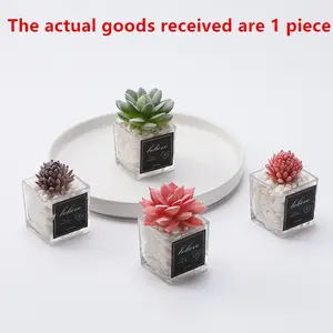 Mini Transparent Square Pot Fake Succulent Plant, Lazy Desk Office Decor, Easy Care Student Dorm Room Decoration, Versatile Small Ornament