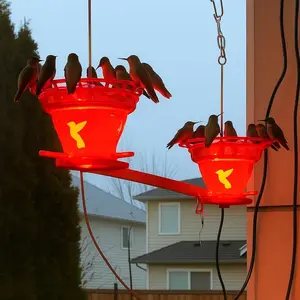 Hummingbird 16oz Feeder+Heater NEW Easy Refill design: No Bungee Cords for quick and easy nectar top-off. Designed and Made in the USA