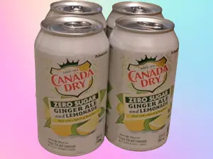 Refreshing Canada Dry Zero Sugar Ginger Ale & Lemonade (4 Cans)