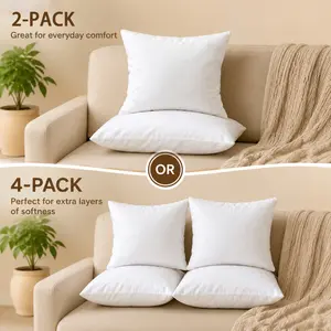 ThrowPillow Inserts 22*22inch ,Bedding White Soft Throw Pillow Inserts,Skin-Friendly,Larger and Softer,Soft Fluffy Square Cushion Fillers– Pack of 4/2, Breathable & Durable – Supportive for Sofa, Couch & Bed Decorative Cushion