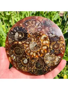 Natural chrysanthemum stone disc ornament, suitable for daily home, office, and study display, and also a thoughtful gift for family and friends on Valentine's Day, Thanksgiving, and Halloween