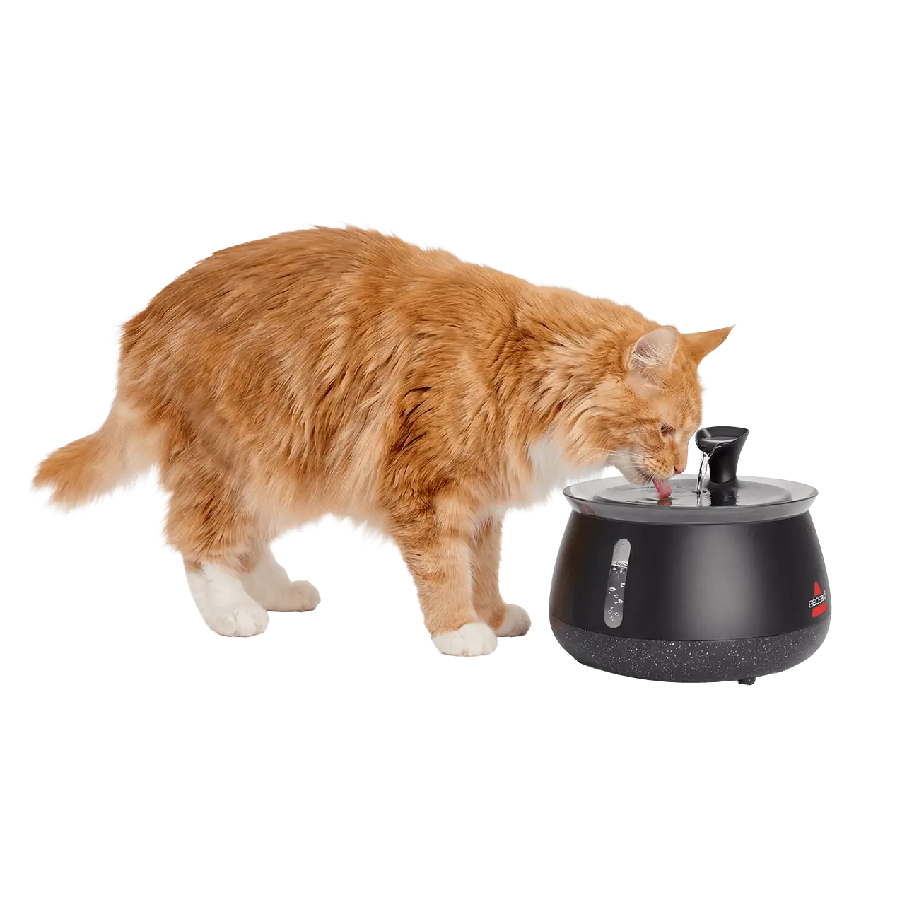 BISSELL HydrateWell™ Cat Water Fountain – Fresh, Filtered Water with Ultra-Quiet Wireless Pump