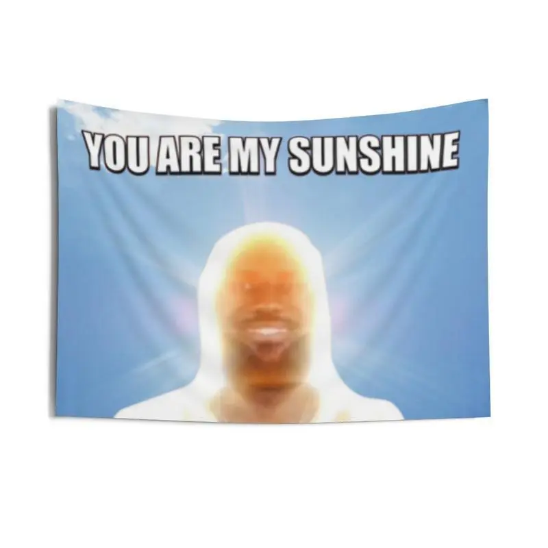 Polyester Rectangular "You Are My Sunshine" LeBron Meme Tapestry, Funny Decorative Lettering Wall Art, Teen Gift, College Dorm Home Decor